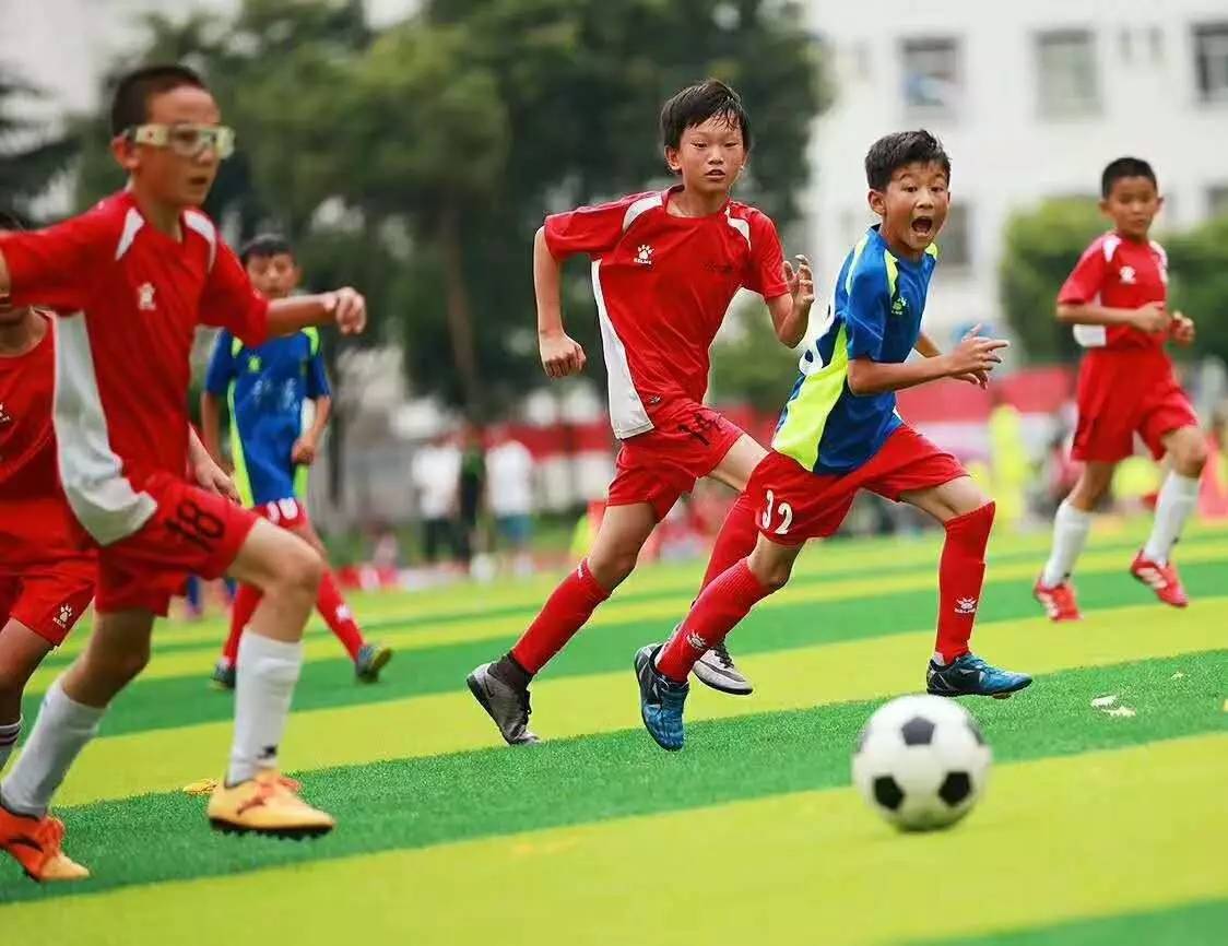 周盘点：垃圾靠烧、污水横流 各地关注农村环境治理